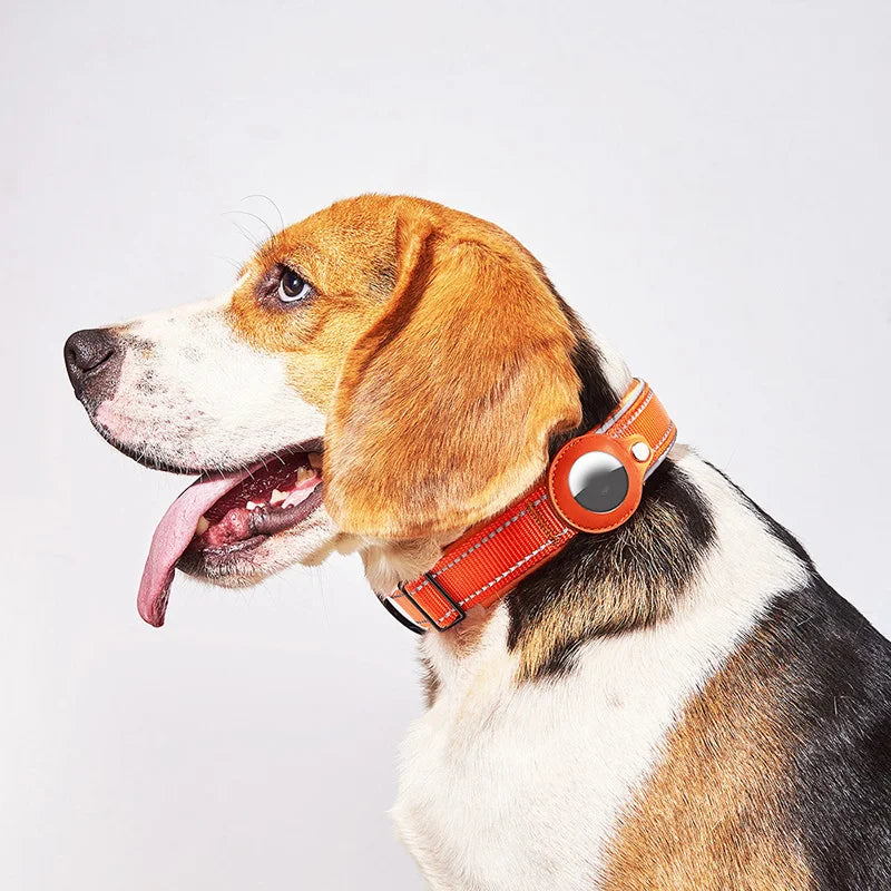 Furapix - Smartes Hundehalsband